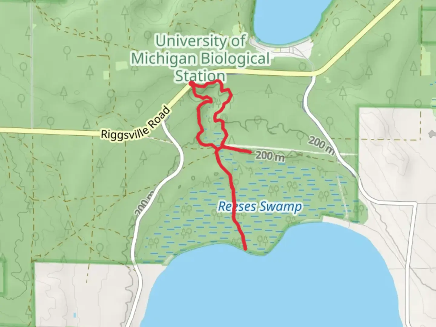An image depicting the trail The Gorge Hiking Trail and Little Carp Creek and its surrounding area.