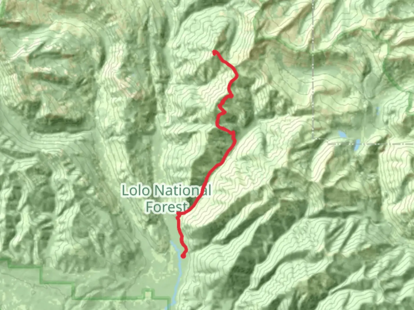 An image depicting the trail Fenn Mountain via Monture Creek Trail and its surrounding area.