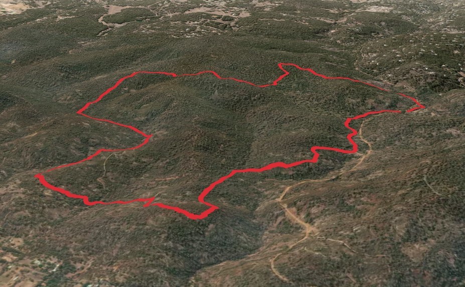 Christmas Tree Creek Walk Trail