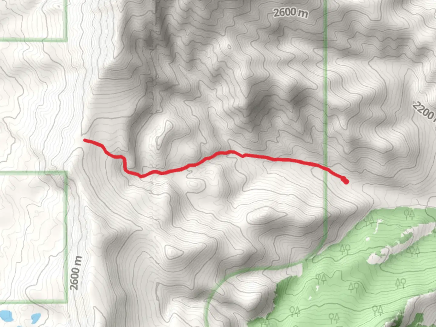 An image depicting the trail Buffalo Horn Pass Trail and its surrounding area.