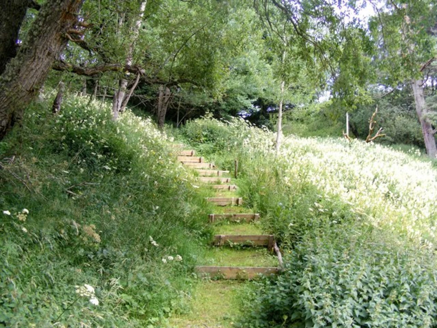 An image depicting the trail Around The Brown Loop from Tomintoul and its surrounding area.