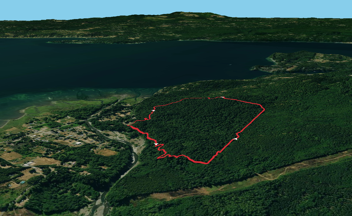 Steam Donkey Loop Trail