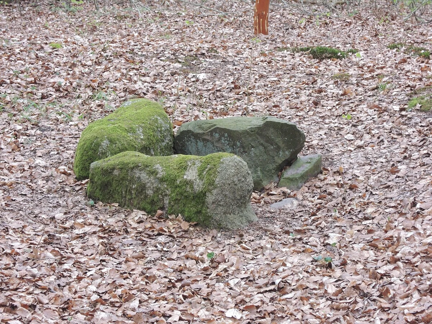 An image depicting the trail Grosser Labussee via Schwarzer Greif Wesenberg and its surrounding area.