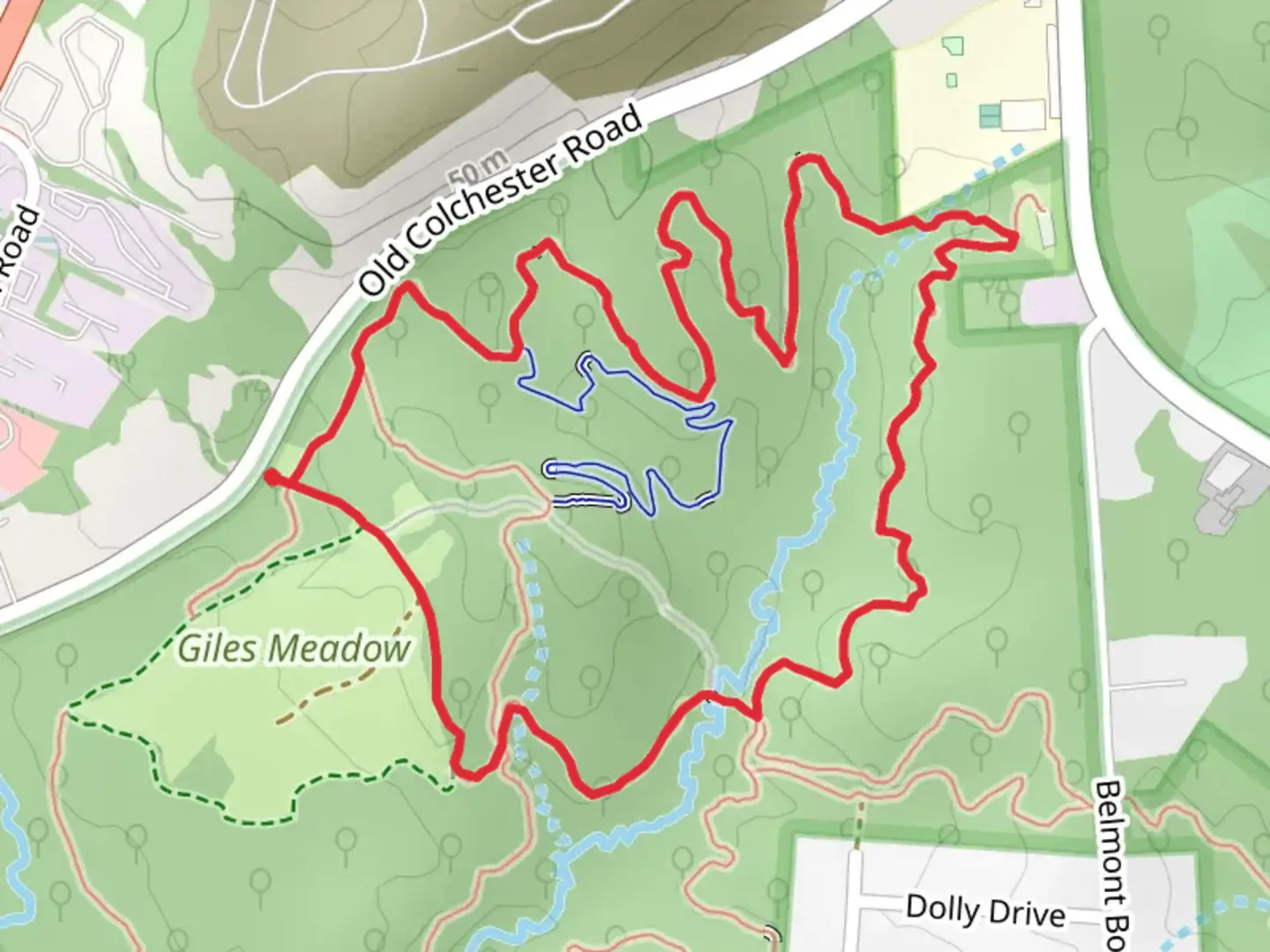 An image depicting the trail South Branch Loop and Meadowood Connector and its surrounding area.