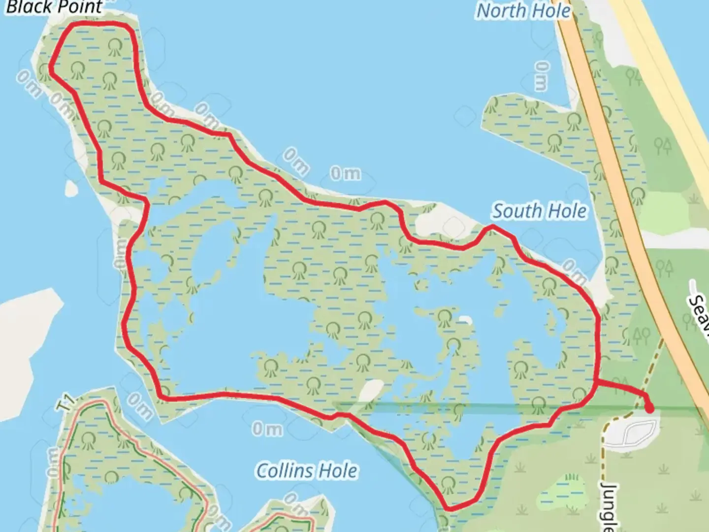 An image depicting the trail Big Slough - Jungle Trail Loop and its surrounding area.