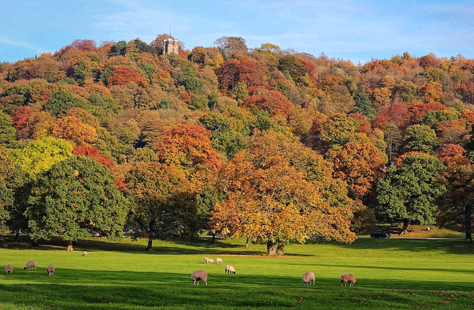 An image depicting the trail Chatsworth Park and Rowsley Loop and its surrounding area.