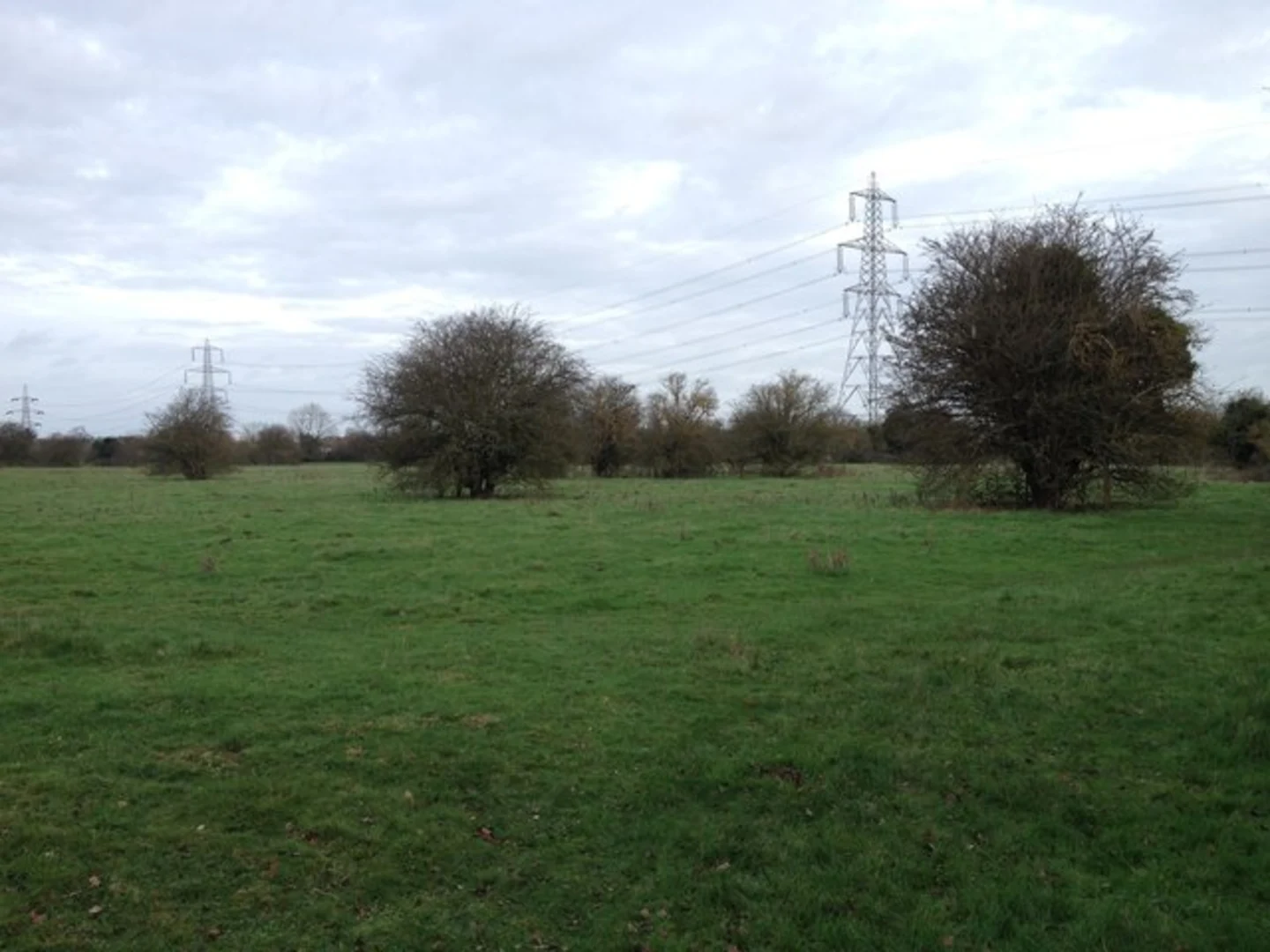 An image depicting the trail Biggleswade Common and Sandy Warren Loop and its surrounding area.