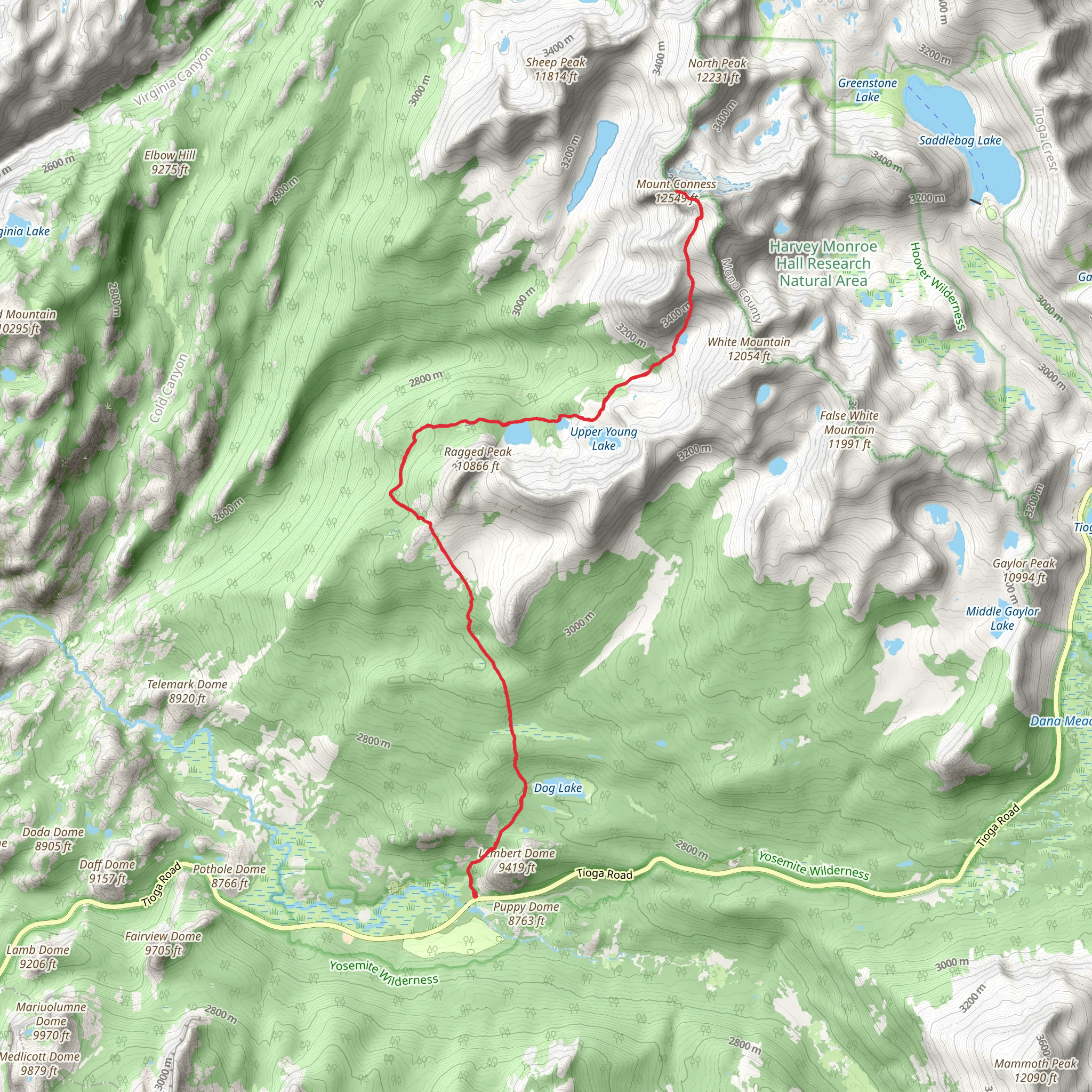 Mount Conness via Dog Lake Trail mobile static map