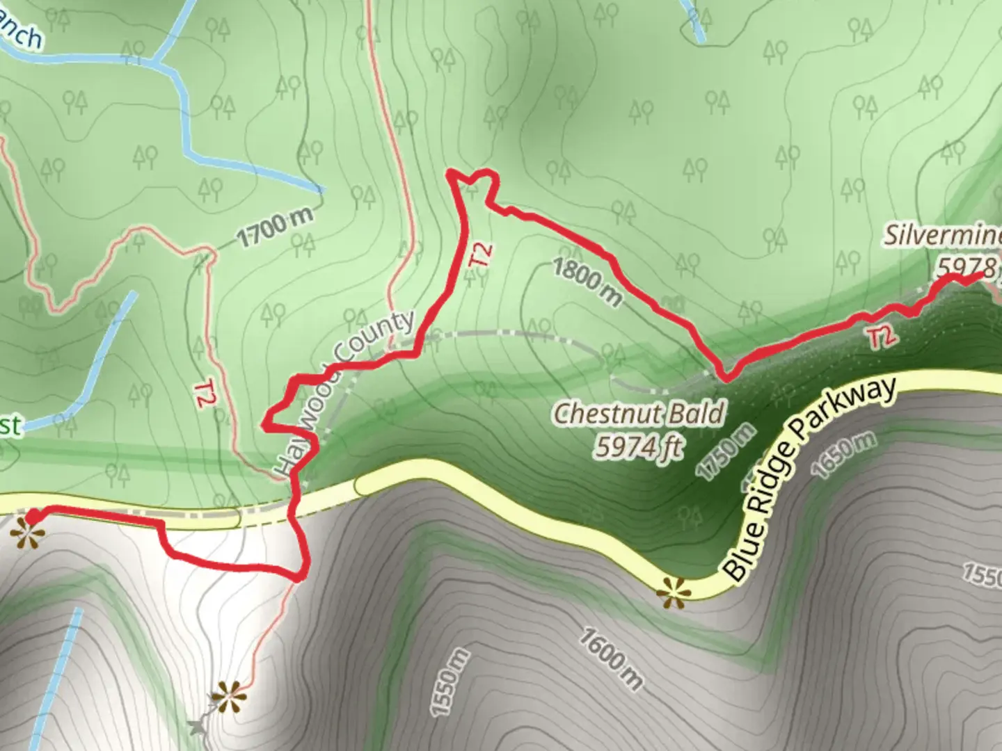 An image depicting the trail Silvermine Bald via Mount to Sea Trail and its surrounding area.