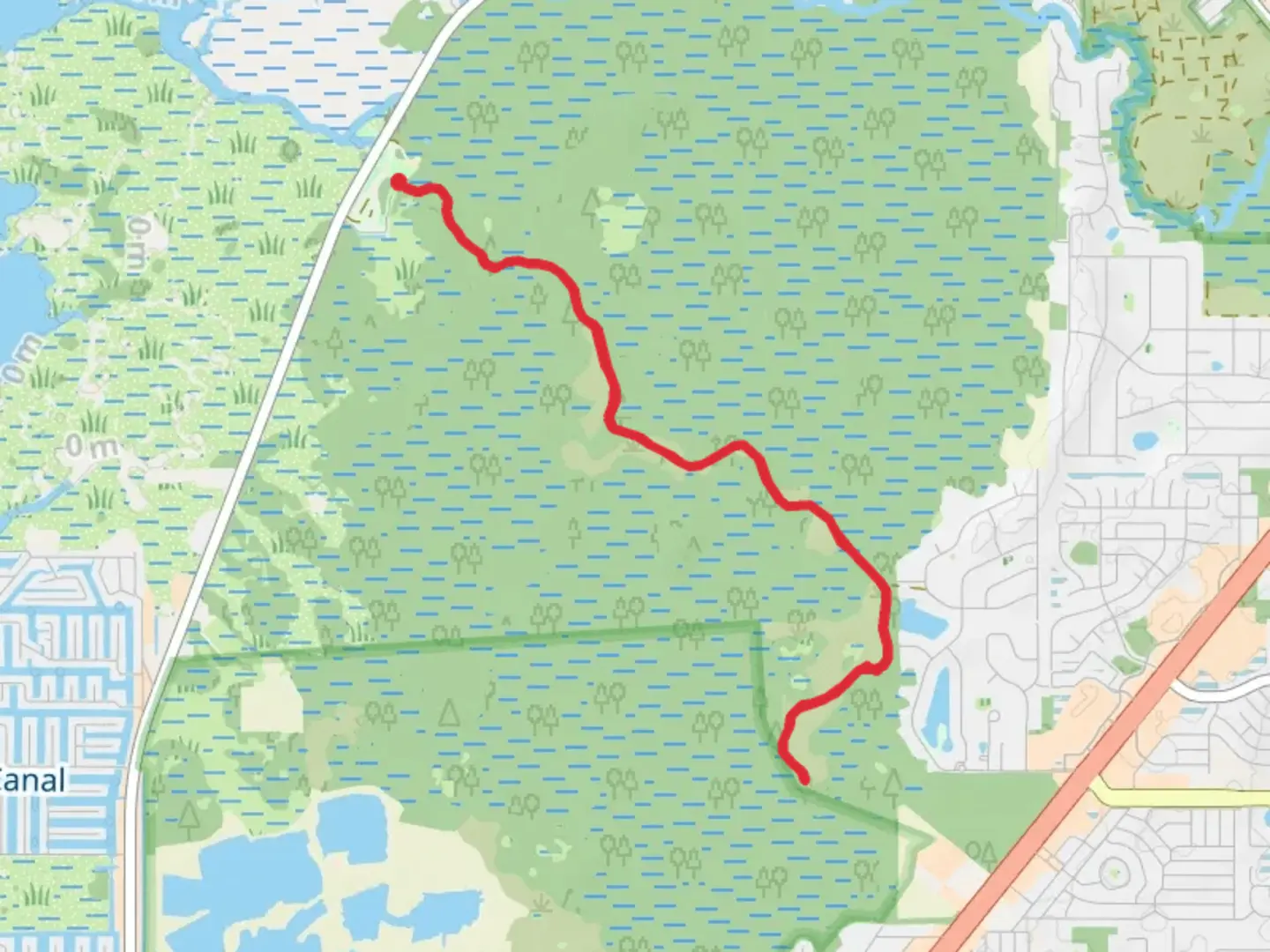 An image depicting the trail Weeki Wachee Swamps Walk and its surrounding area.