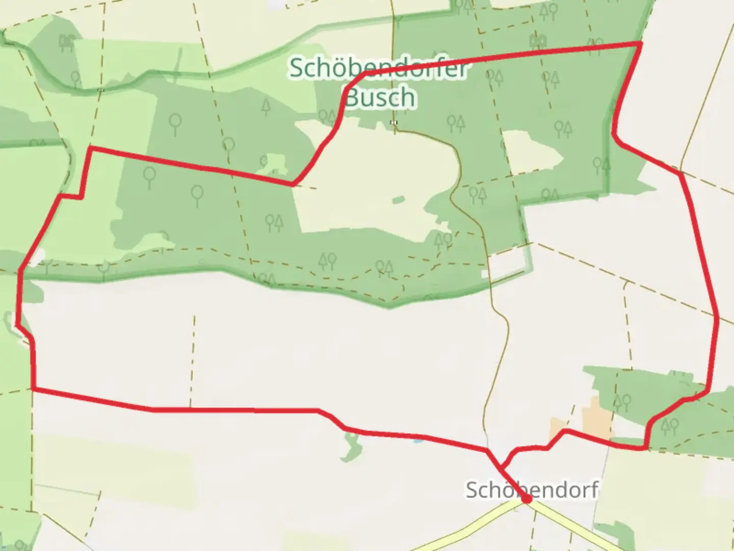 An image depicting the trail Schöbendorfer Busch Loop and its surrounding area.