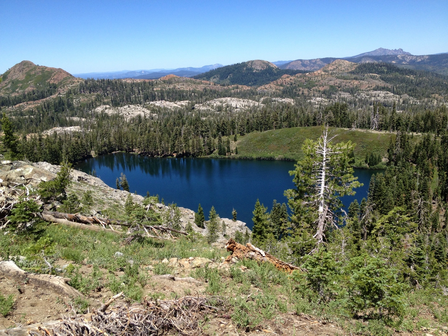 An image depicting the trail Bowman Mountain Trail and its surrounding area.