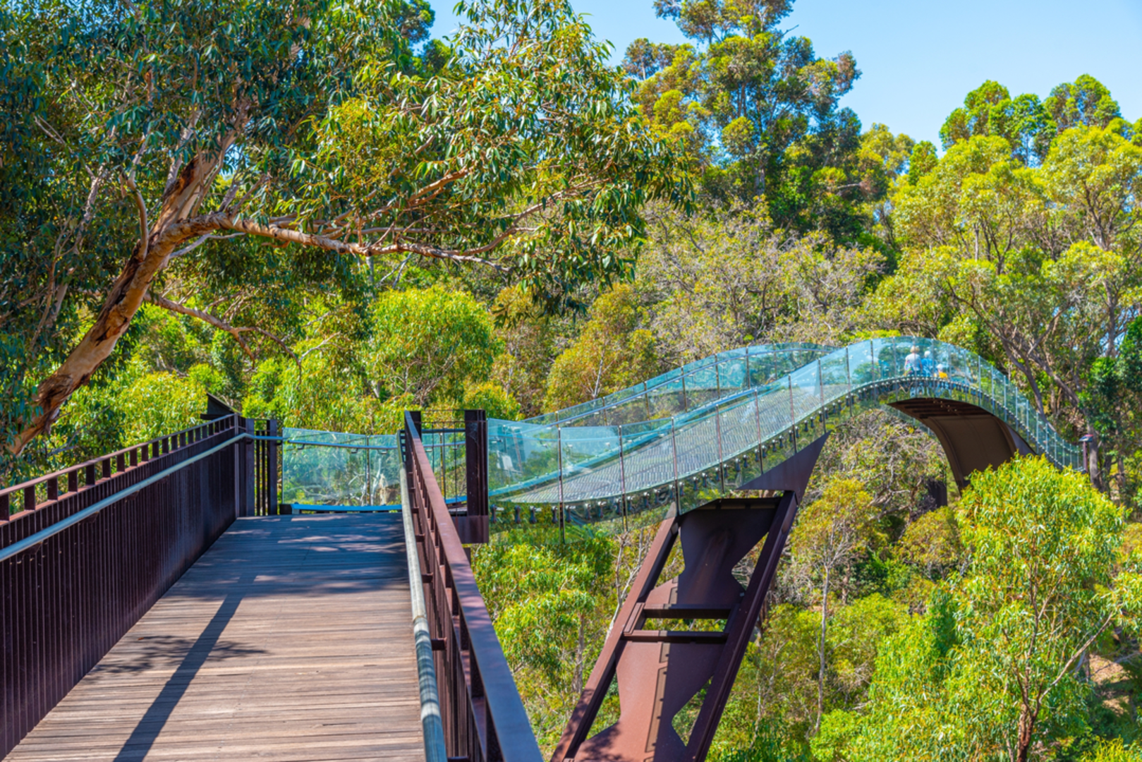 An image depicting the trail West Australian Botanic Garden Walk and its surrounding area.