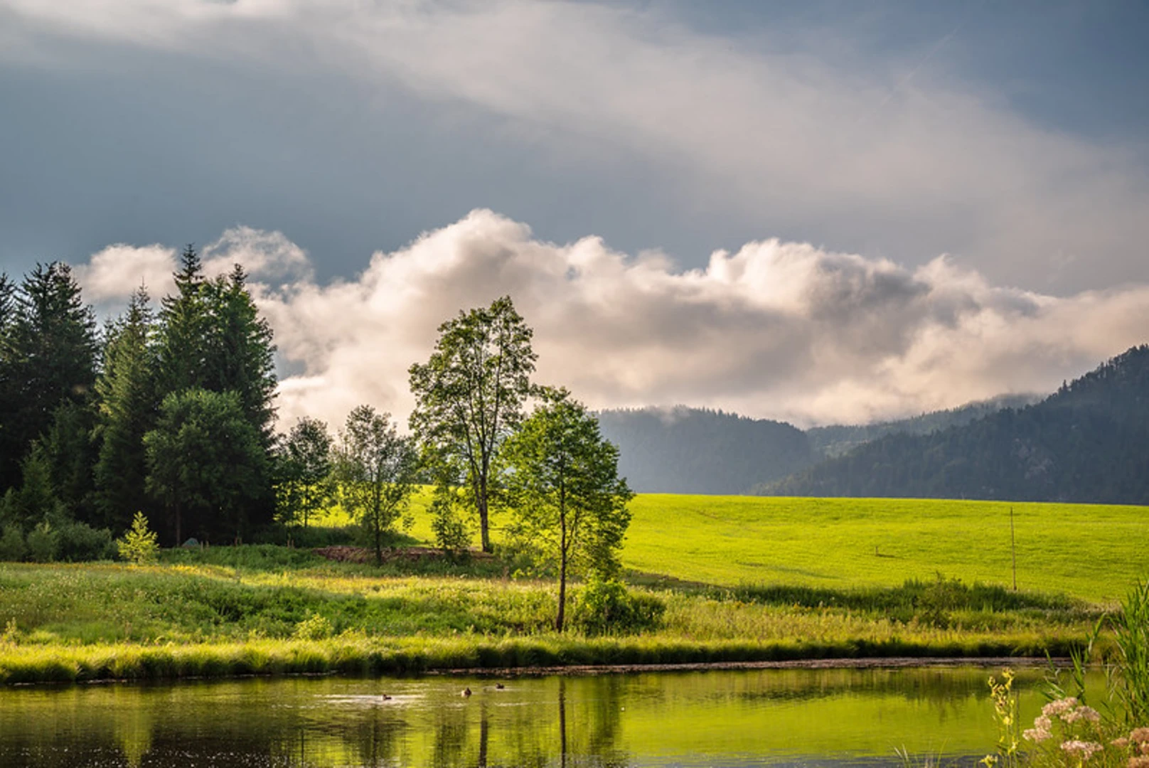 An image depicting the trail Lofer and Klausenbach via Wanderweg and its surrounding area.
