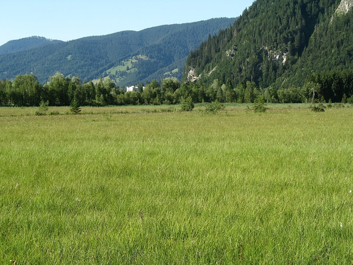 Ettaler Weidmoos Loop