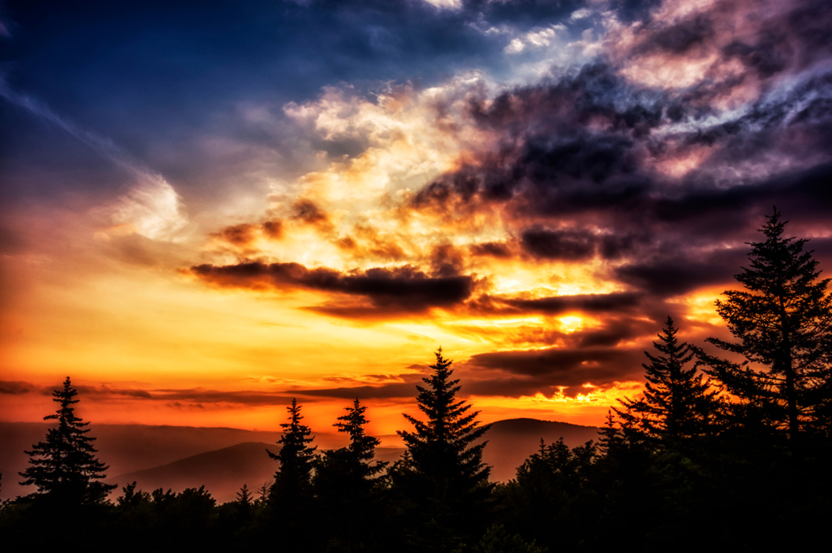 An image depicting the trail Forks of Cranberry Trail and its surrounding area.