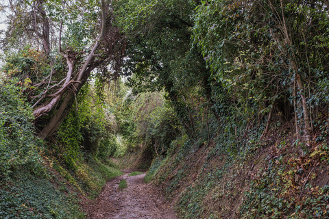 Meertje van Vogelenzang and Westerberg via Hoge Weg and Lage Weg