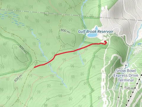 North Brookwood Trail