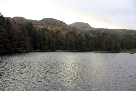 An image depicting the trail Beddgelert Forest Loop and its surrounding area.