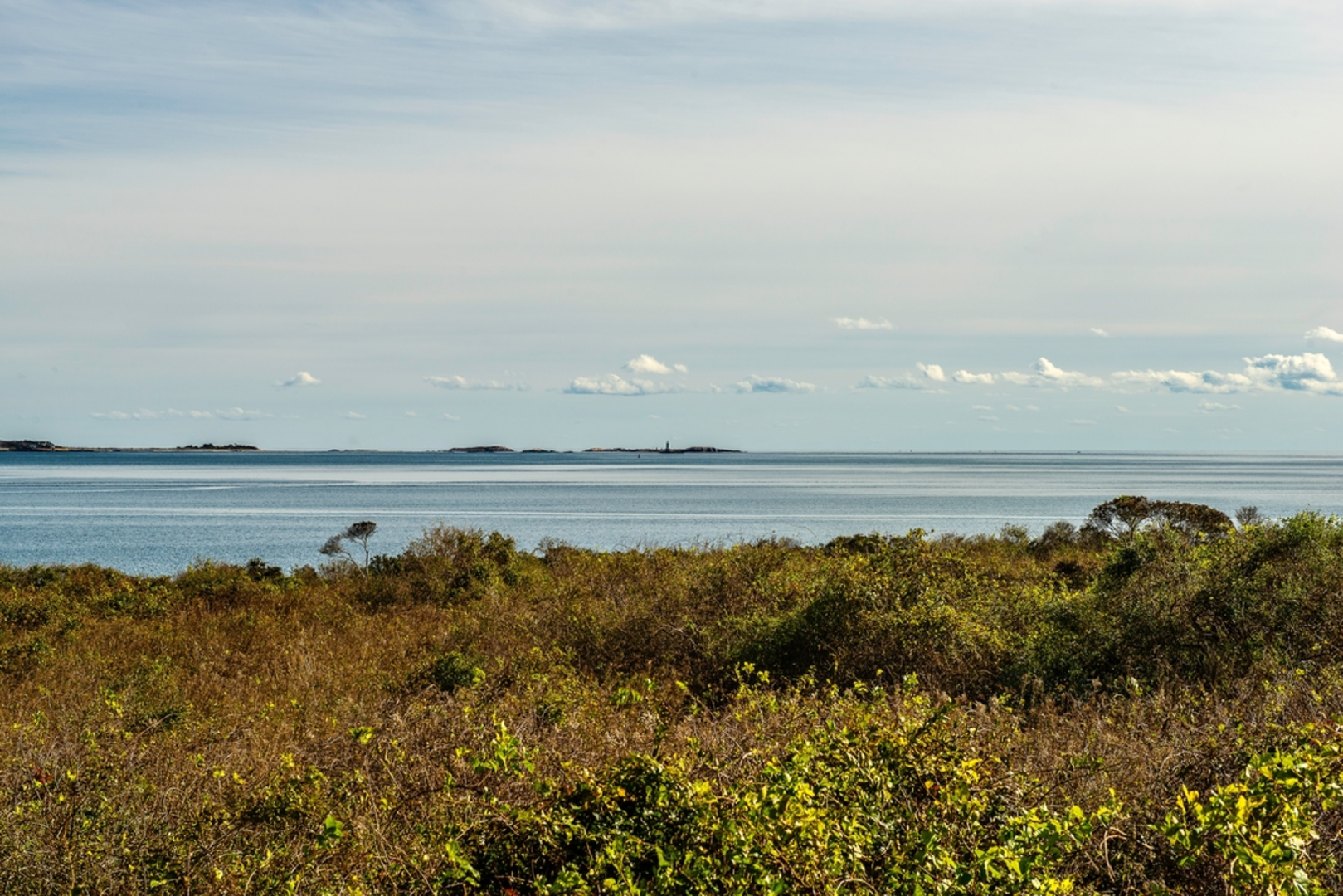 An image depicting the trail Sachuest Point - Flint Point and Ocean View Loop and its surrounding area.