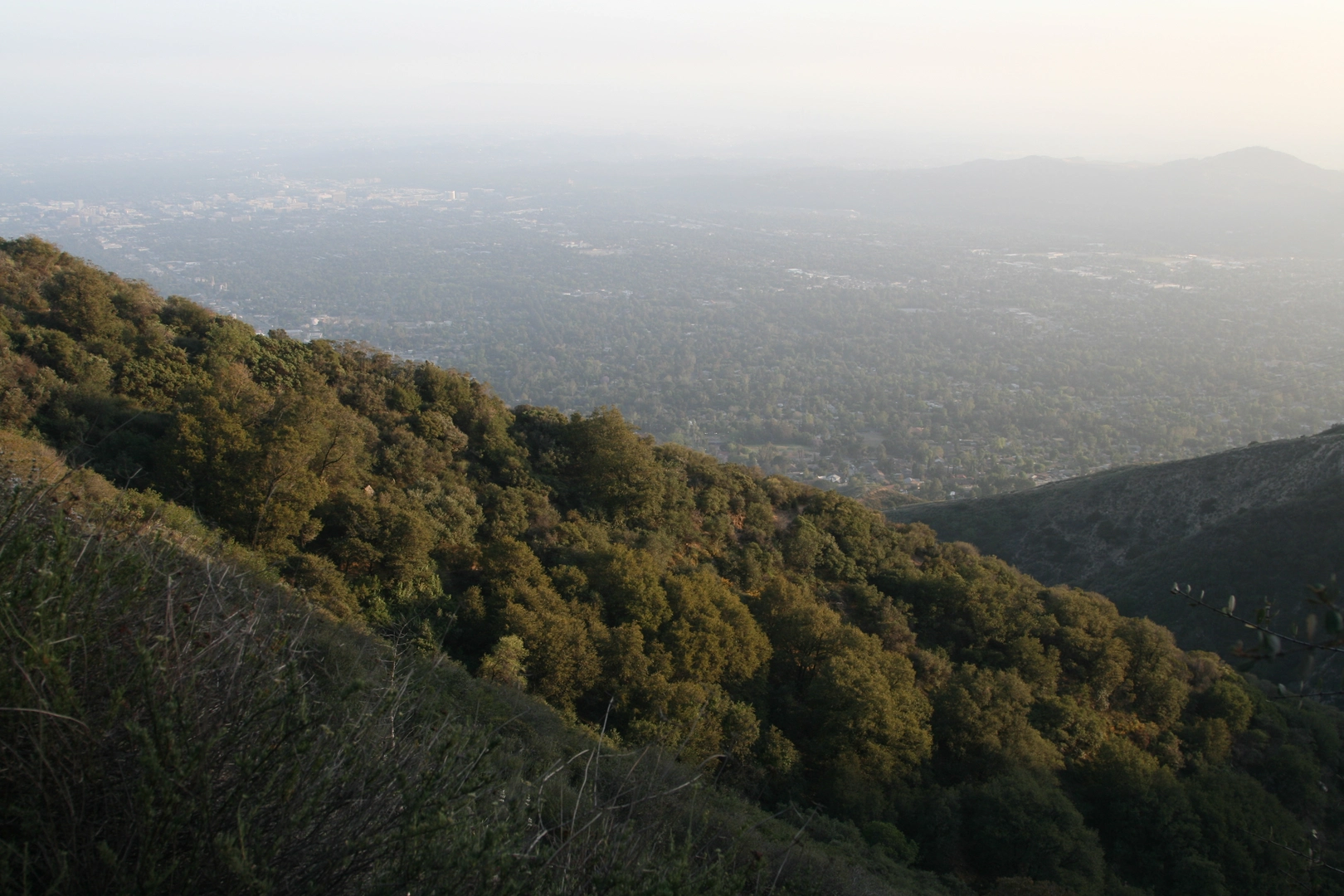 An image depicting the trail Echo Mountain via Rubio Canyon and Camp Huntington Trail and its surrounding area.