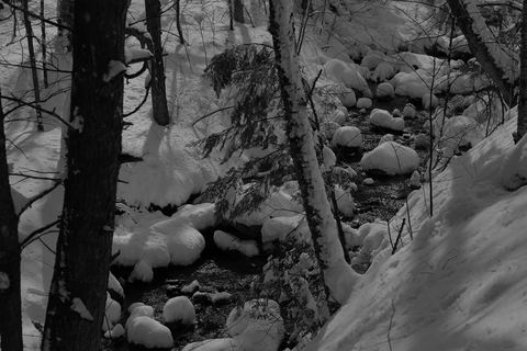 An image depicting the trail Emily Proctor Trail and its surrounding area.