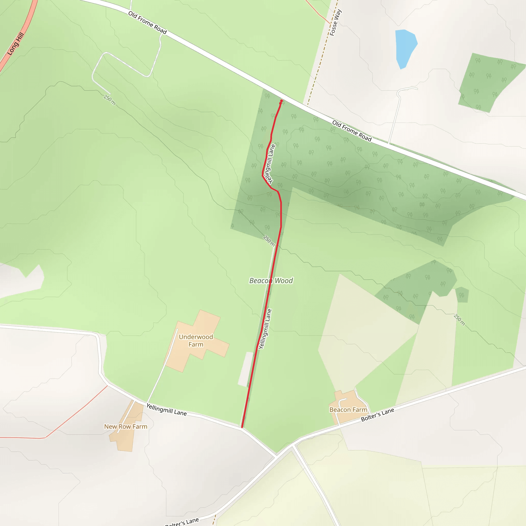 Beacon Hill Woods Walk mobile static map