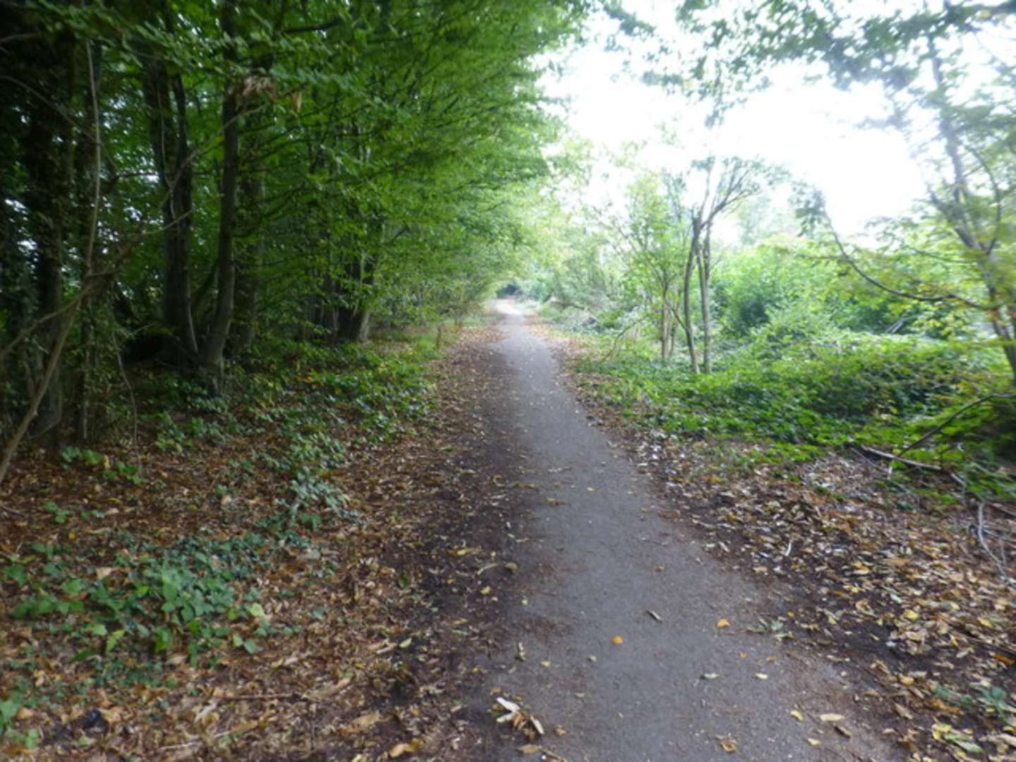 An image depicting the trail Barming to Kings Hill Loop and its surrounding area.