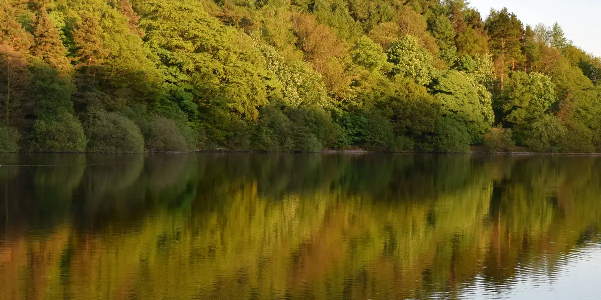 Agden Reservoir Circular