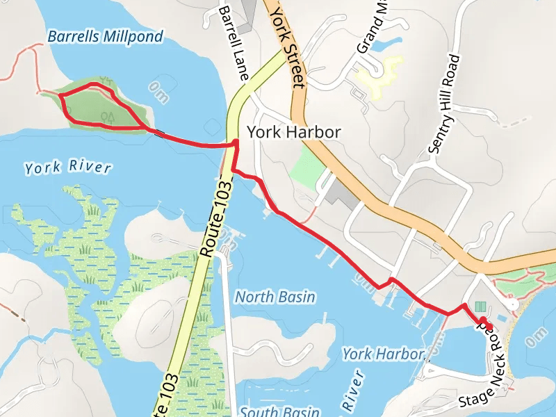 Steedman Woods Loop Trail