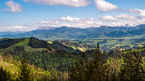 An image depicting the trail Rundwanderung Wiggernhütte - Napf and its surrounding area.