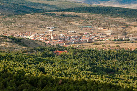 Way of the Greeks SL TE 43