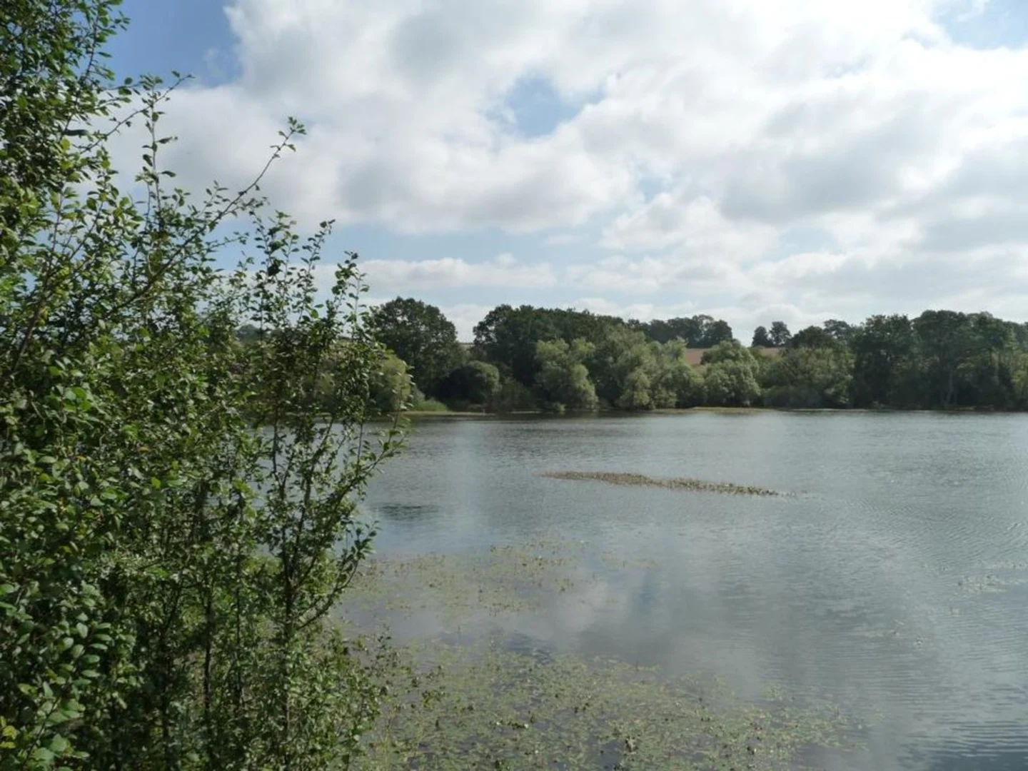 An image depicting the trail Tardebigge Reservoir Walk and its surrounding area.