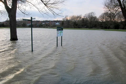 The Floodplain Forest Nature Reserve and Ouse Valley Park Loop
