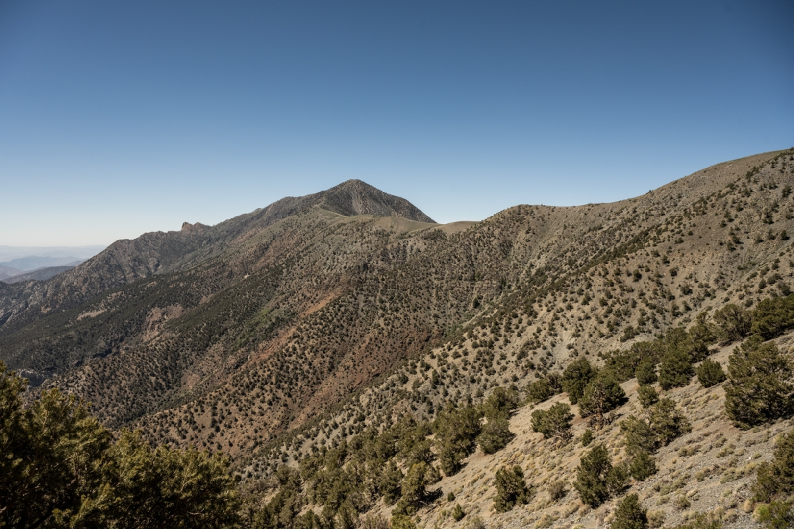 An image depicting the trail Telescope Peak Trail and its surrounding area.