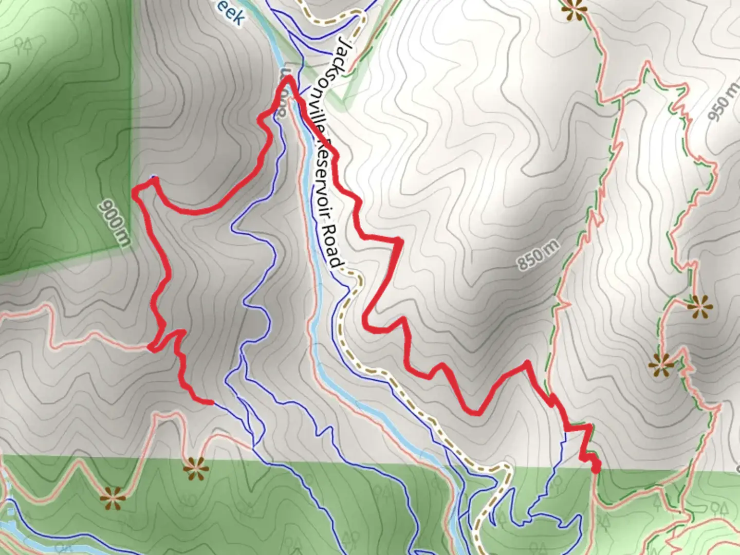 An image depicting the trail Halls of Manzanita Trail and its surrounding area.