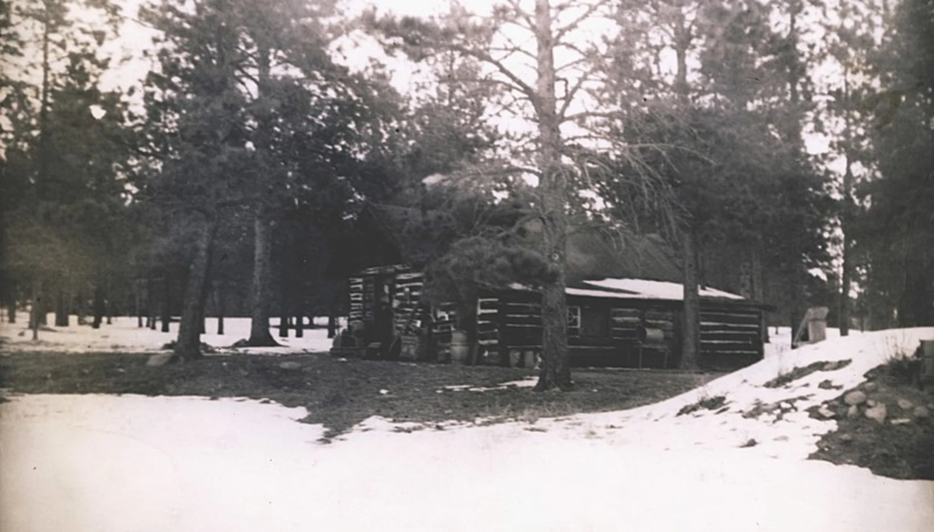 An image depicting the trail Little Scraggy Peak Loop Trail and its surrounding area.