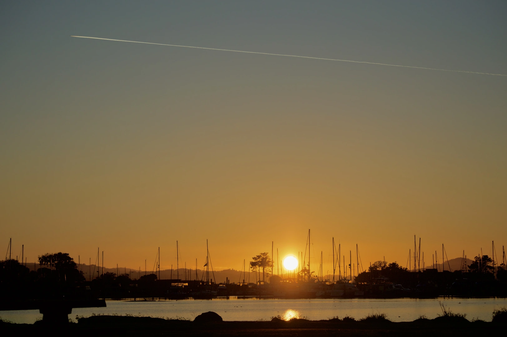 An image depicting the trail Old Alameda Point via Ballena Bay and its surrounding area.