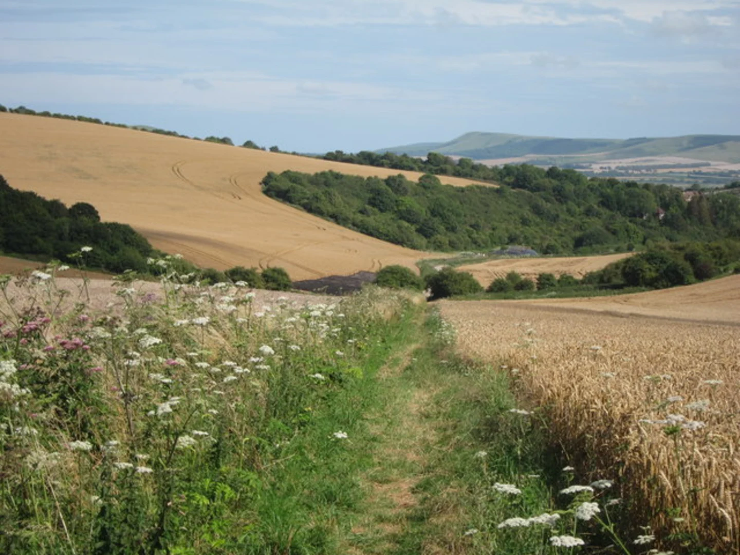 An image depicting the trail Lewes Loop and its surrounding area.
