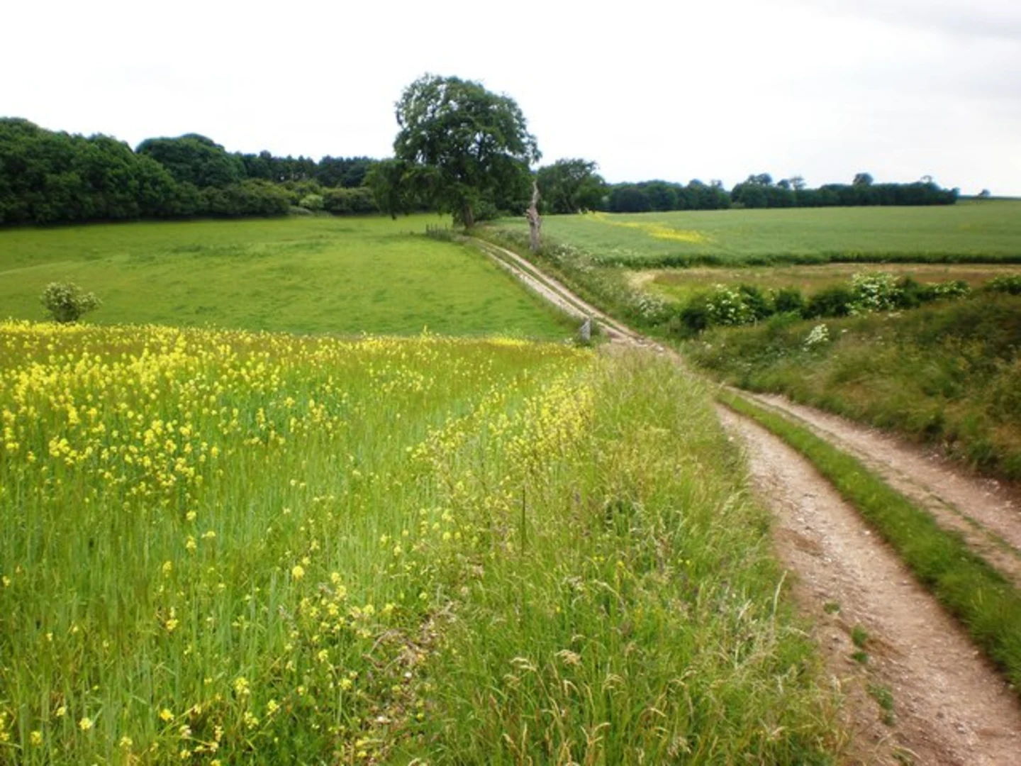 An image depicting the trail Welton Circular Walk - North and its surrounding area.