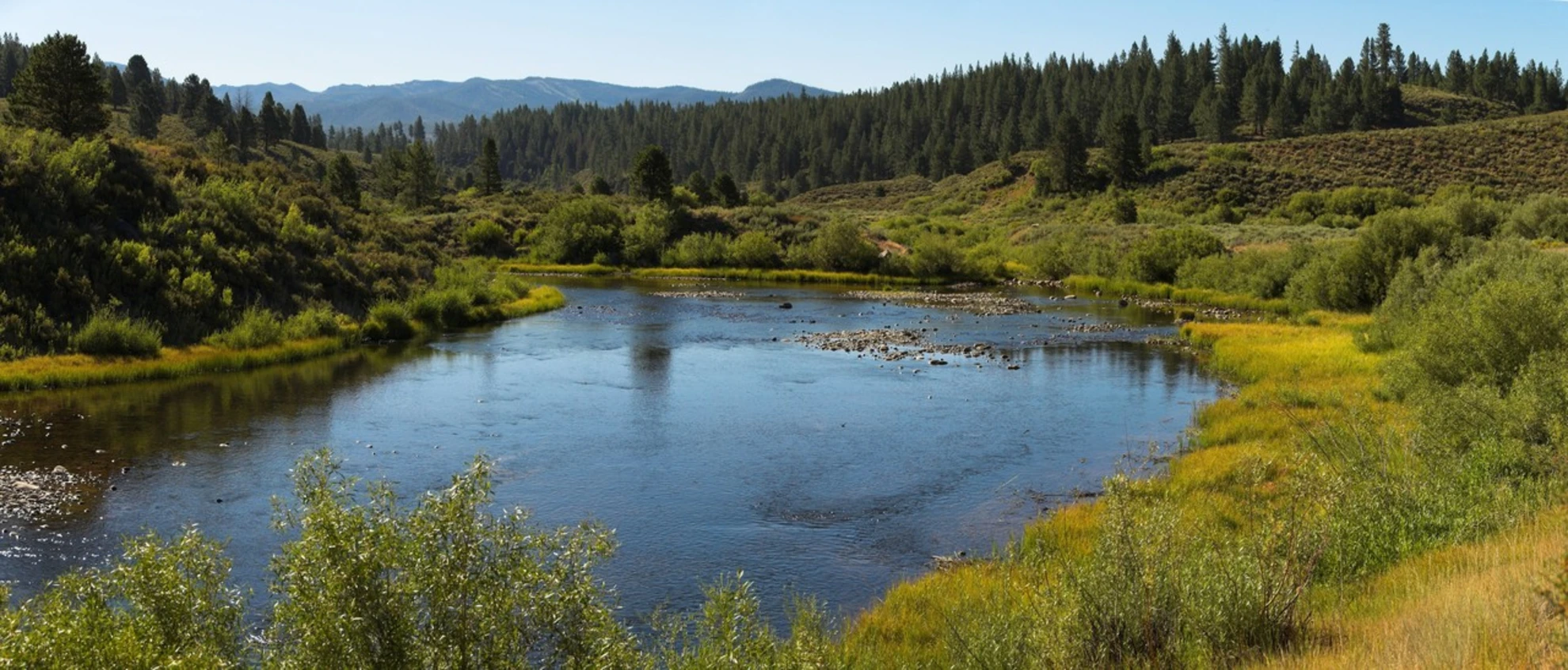 An image depicting the trail Lake Mendocino East Shore Walk and its surrounding area.
