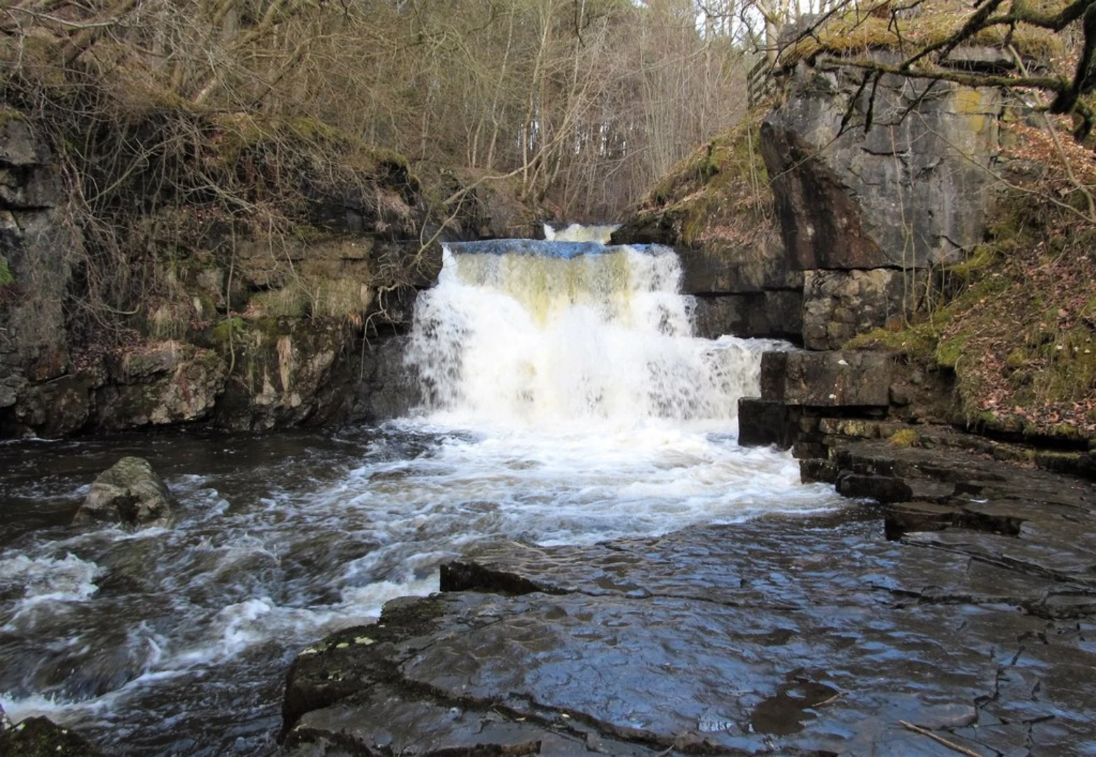 An image depicting the trail Summerhill Force Walk and its surrounding area.