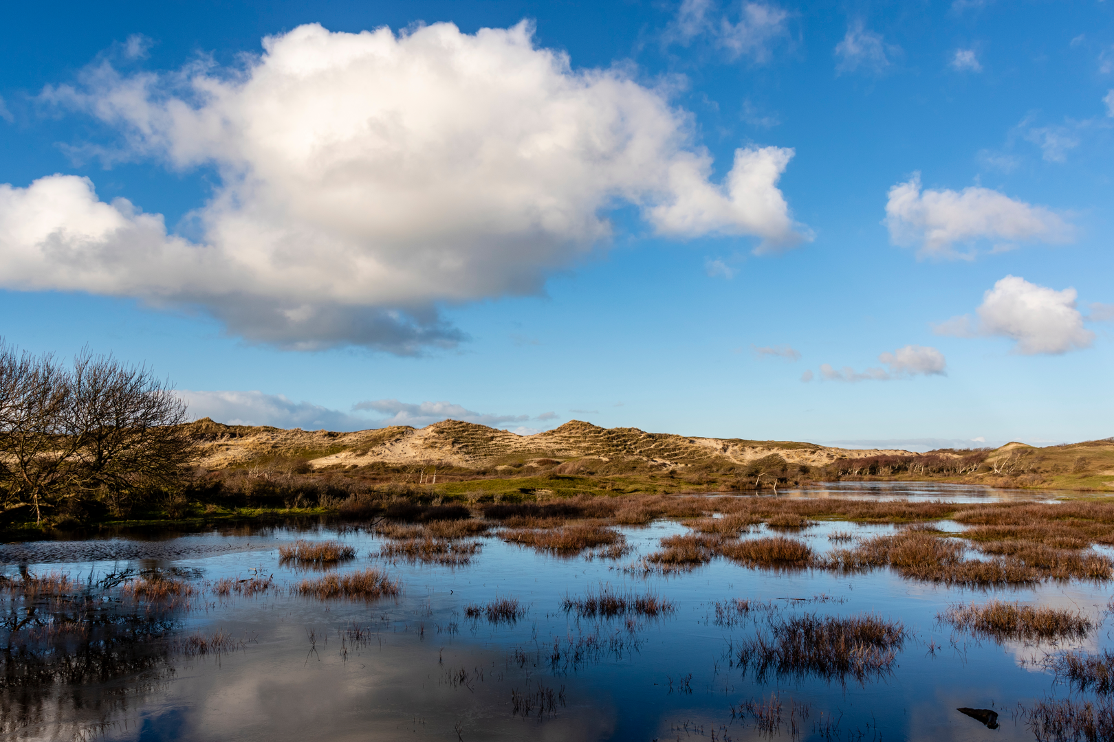 An image depicting the trail Heiliieerbos, Wimmenum, De Nollen and Schulpvlak and its surrounding area.