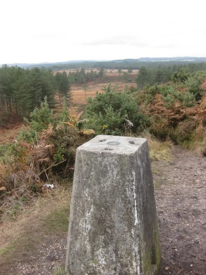 An image depicting the trail Woolsbarrow Fort and Hill and Wareham Forest via Hardy Way and its surrounding area.