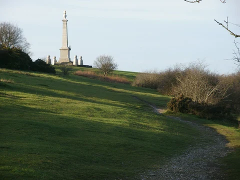 Coombe Hill Loop - Low Scrubs