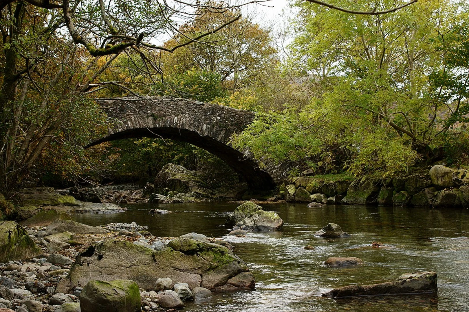 An image depicting the trail Stanley Ghyll Waterfall Loop and its surrounding area.