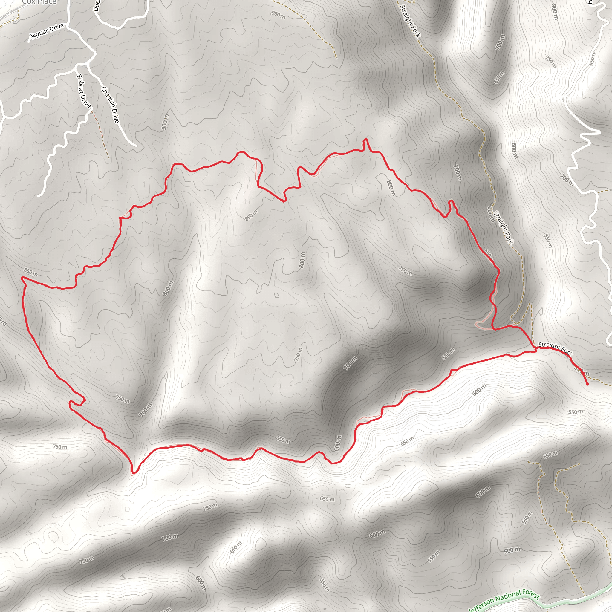 Devils Fork Loop Trail mobile static map