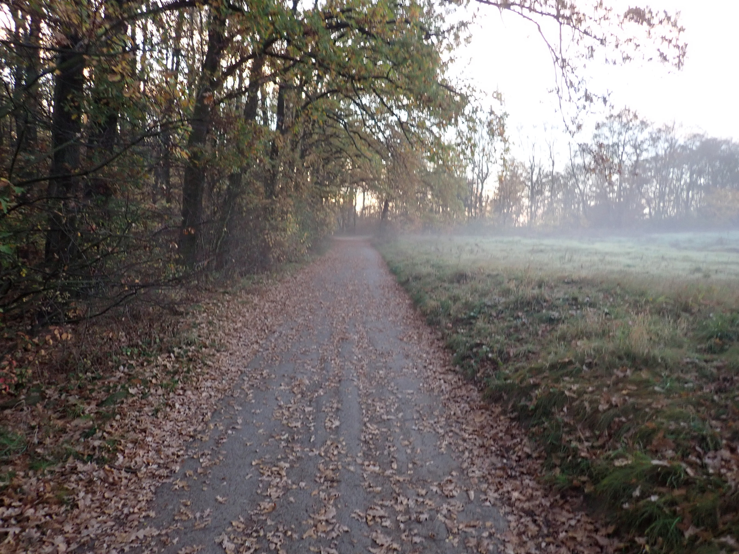 An image depicting the trail Rondje Exel Loop and its surrounding area.