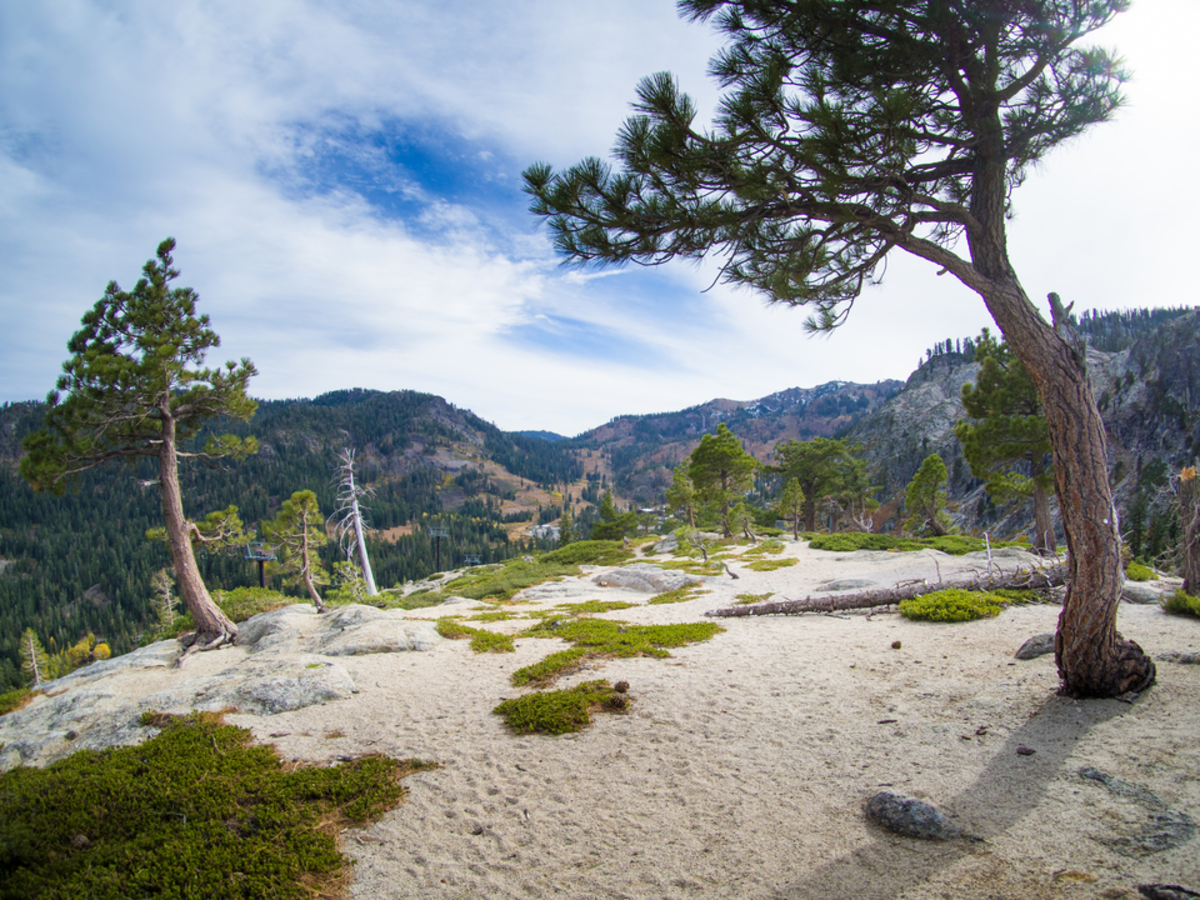 Granite Chief Trail