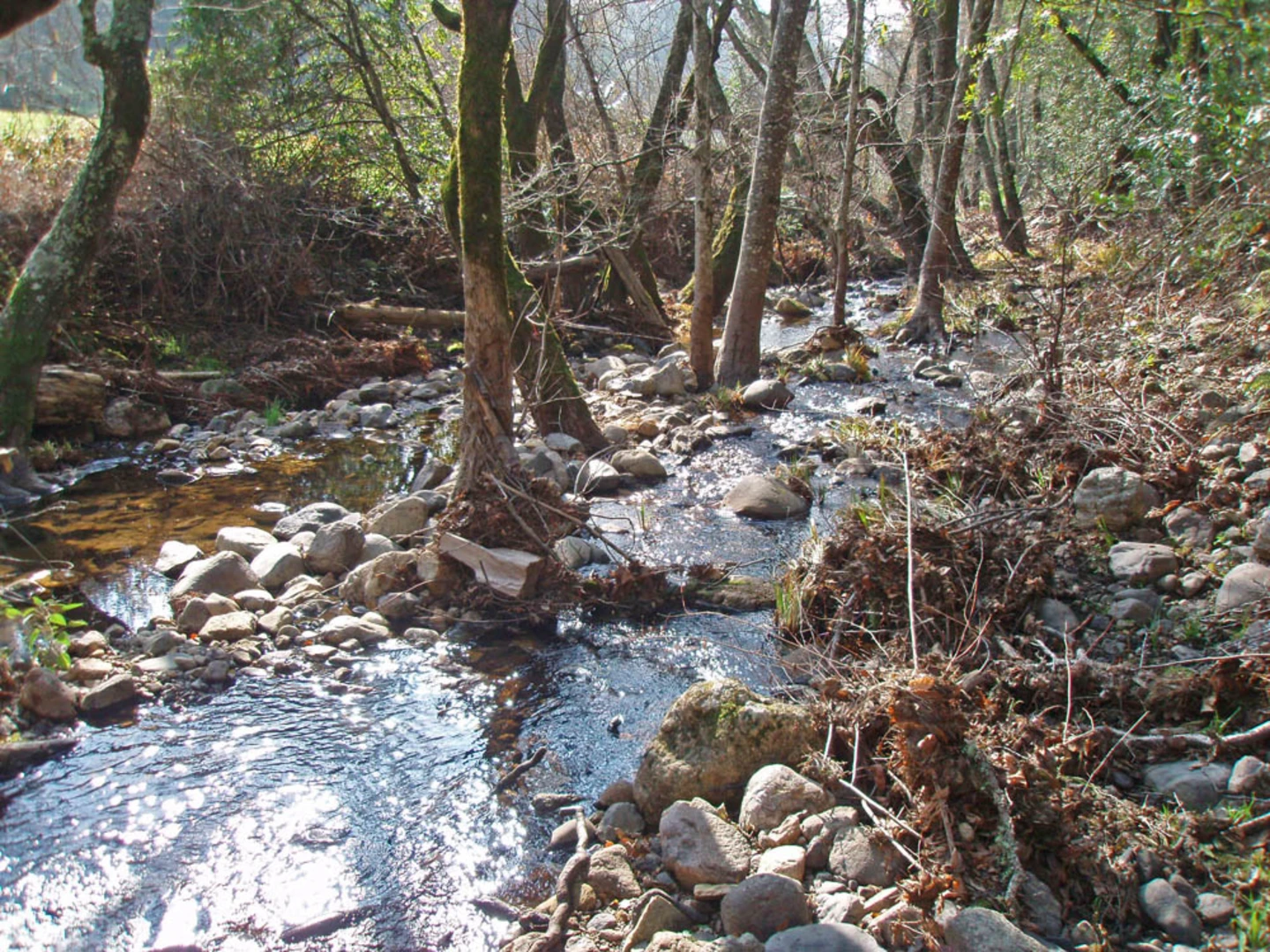 An image depicting the trail Calabazas Creek and its surrounding area.